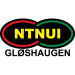 NTNUI شعار الفريق