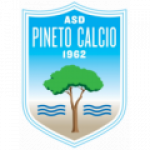 Pineto Team Logo