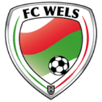 Wels Team Logo