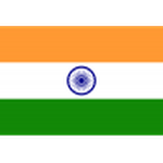 India شعار الفريق