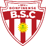 Botafogo BA Team Logo