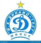 Dinamo Malorita Team Logo
