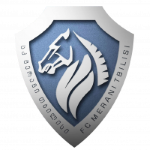 Merani Tbilisi Team Logo