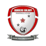 Galaxy Team Logo