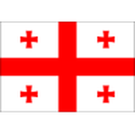 Georgia Team Logo