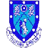 Rugby Town شعار الفريق