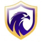 Falcon Team Logo