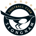 Seongnam FC Team Logo