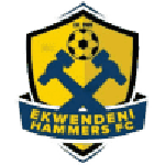 Ekwendeni Hammers شعار الفريق