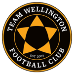 Team Wellington Team Logo