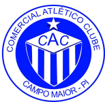 Comercial PI Team Logo