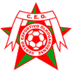 CEO شعار الفريق