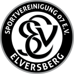 Elversberg شعار الفريق