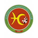 Wuhan Jiangcheng شعار الفريق